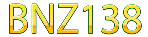 BNZ138 Logo